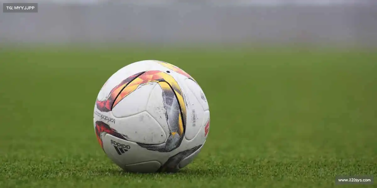 必一运动(B-Sports)——🎯百步穿杨,精准致胜!